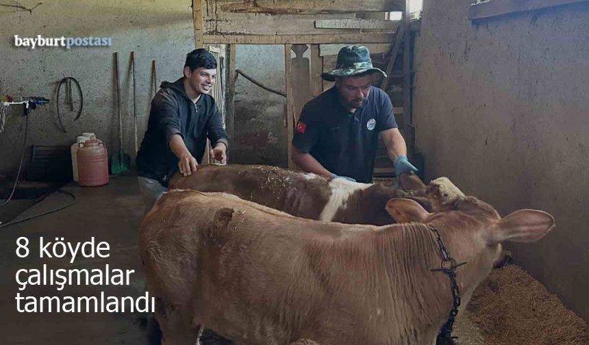Aydıntepe’de 8 Köyünde Çalışmalar Tamamlandı