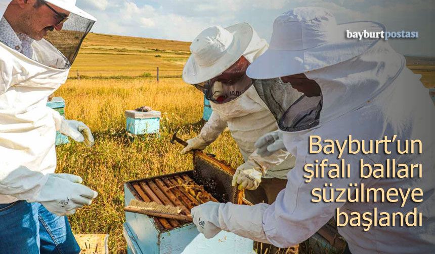 Bayburt'un şifalı balları süzülmeye başlandı