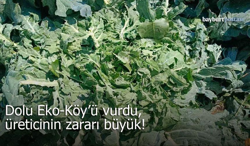 Bayburt’ta dolu yağışı Eko-Köy’ü vurdu, zarar büyük!