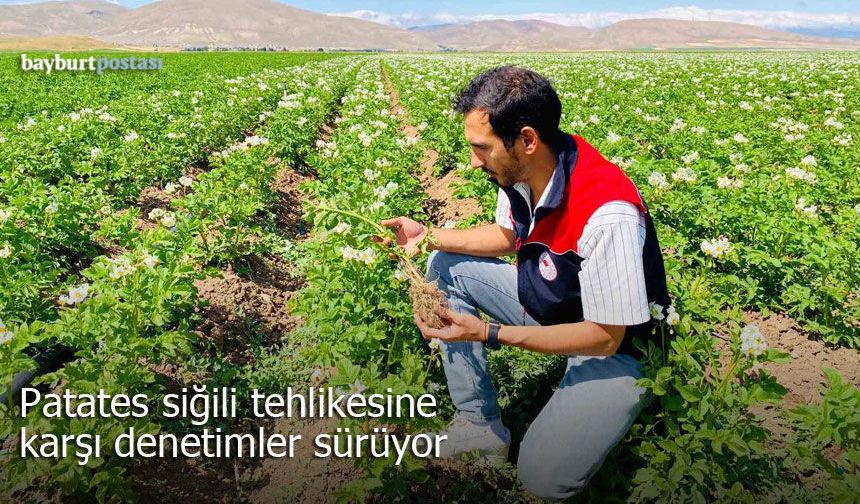 Bayburt’ta patates üretim alanlarına denetim
