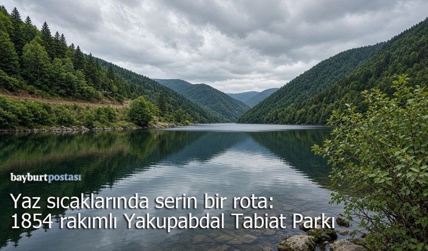 Yaz sıcaklarında serin bir rota: 1854 rakımlı Yakupabdal Tabiat Parkı
