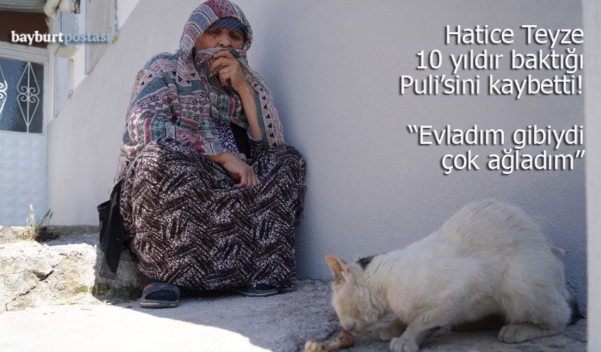 Bayburtlu Hatice Köse, Puli'sini kaybetti: "Evladım gibiydi, çok ağladım"