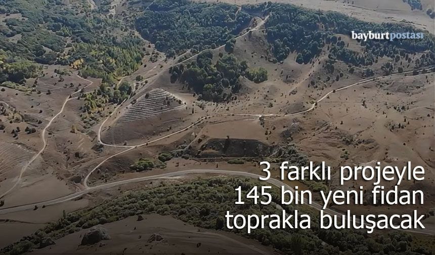 3 farklı projeyle Bayburt’ta 145 bin yeni fidan toprakla buluşacak