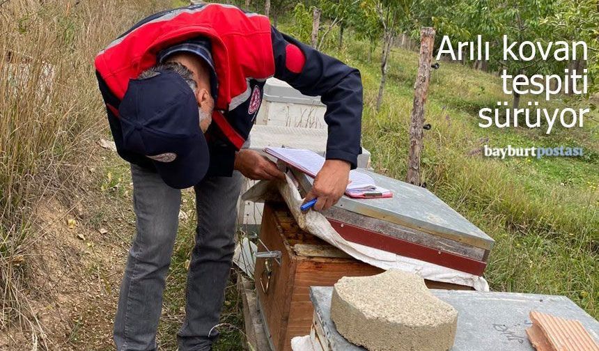 Bayburt’ta Arılı Kovan Desteklemeleri İçin Sahada İnceleme